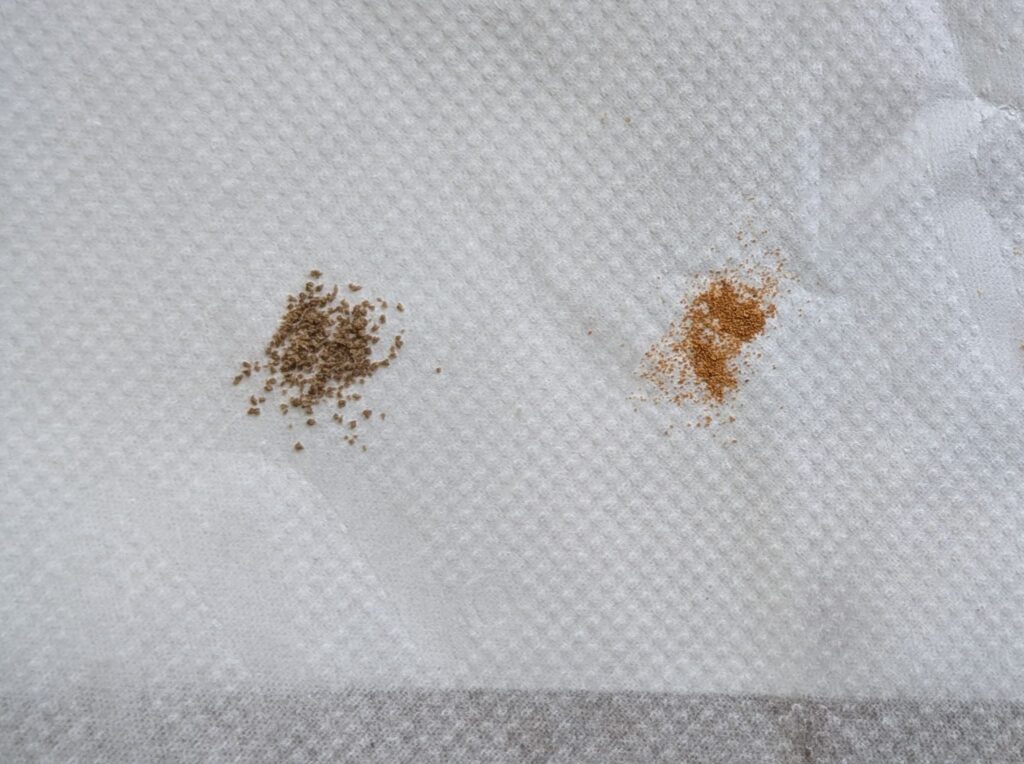 メダカ元気プロバイオフードクリアとコメットメダカ稚魚