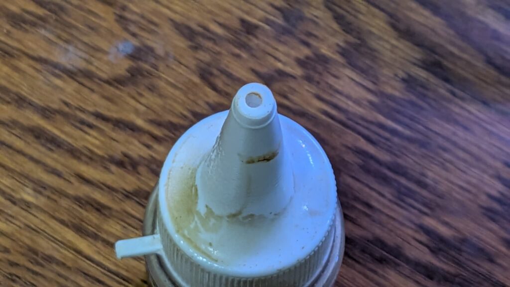 コメットメダカ稚魚