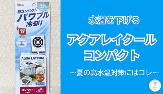 メダカ水槽の夏の高水温対策｜GEXアクアレイクールコンパクトを徹底レビュー