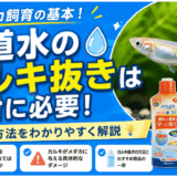 水道水のカルキ抜きはメダカ飼育の基本！理由と方法をわかりやすく解説