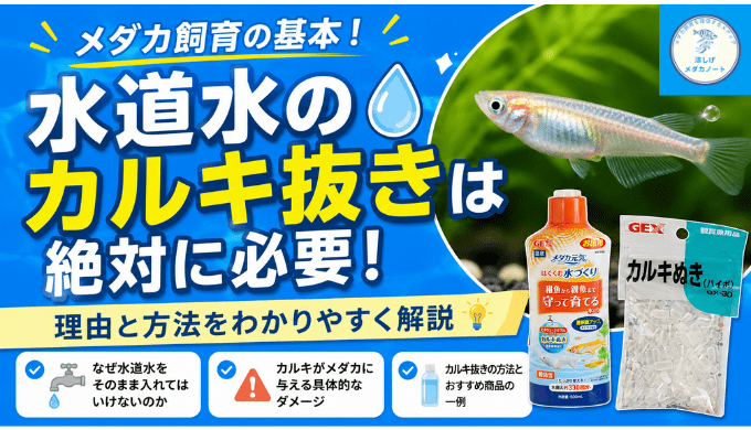 水道水のカルキ抜きはメダカ飼育の基本！理由と方法をわかりやすく解説