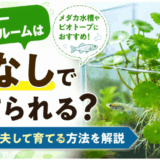 ウォーターマッシュルームは土なしで育てられる？ひと工夫して育てる方法を解説