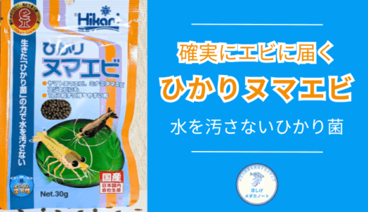 ミナミヌマエビのエサとして本当に使える？ひかりヌマエビを徹底レビュー