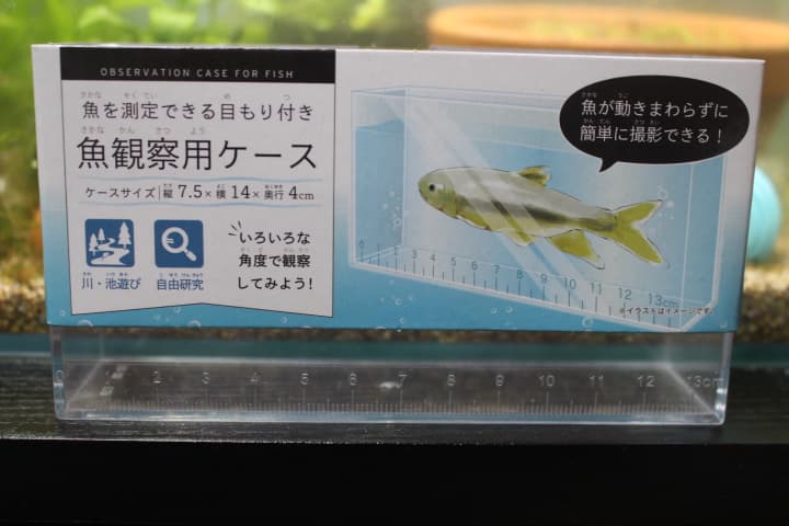 魚観察用ケース