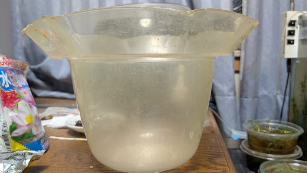 ダイソーの水槽