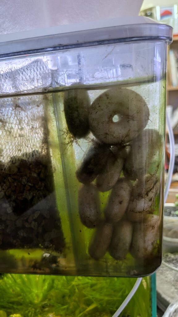 水槽用ろ過材