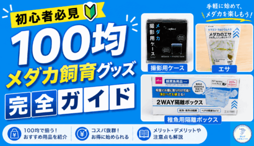 初心者必見！100均メダカ飼育グッズ完全ガイド