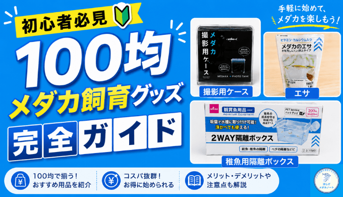初心者必見！100均メダカ飼育グッズ完全ガイド