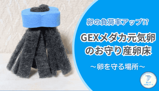 GEXメダカ元気卵のお守り産卵床｜メダカの産卵床選びに迷ったらこれ一択！