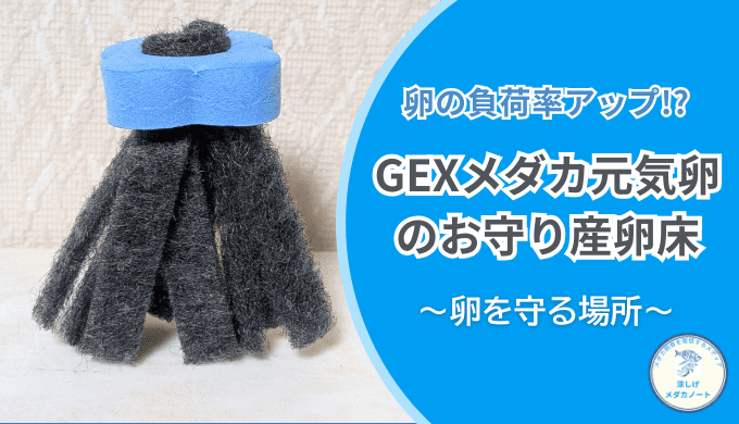 GEXメダカ元気卵のお守り産卵床｜メダカの産卵床選びに迷ったらこれ一択！