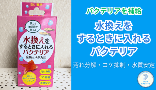 水換えで水質安定！水換えをするときに入れるバクテリア金魚とメダカ用の効果と注意点