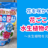 水生植物が元気に育つ!花ごころ水生植物の肥料の効果と使い方