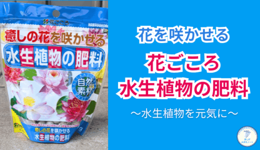 水生植物が元気に育つ！花ごころ水生植物の肥料の効果と使い方