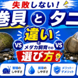失敗しない！石巻貝とタニシの違いとメダカ飼育での選び方