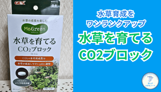 手軽にCO2添加！GEX水草一番CO2ブロックの効果と使い方を徹底解説
