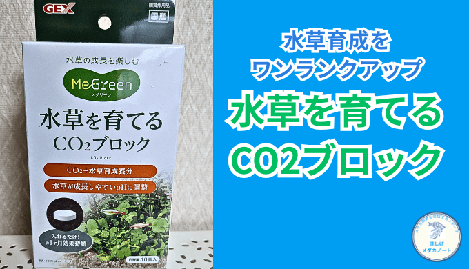 手軽にCO2添加！GEX水草一番CO2ブロックの効果と使い方を徹底解説