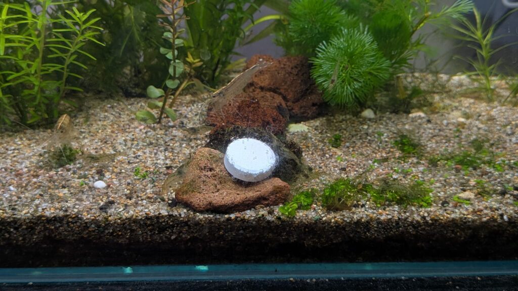 水草を育てるCO2ブロック